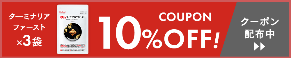 ターミナリアファースト 3袋 10%OFF クーポン配布中
